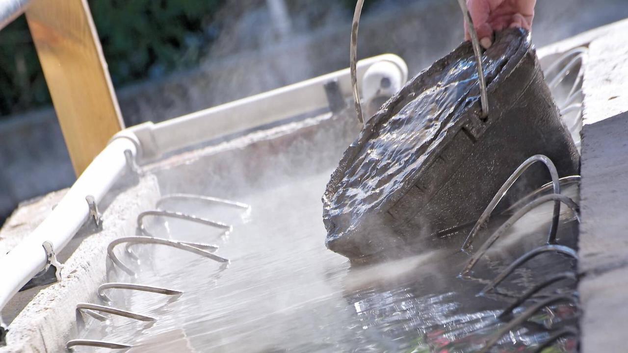 Terme Villa Pace Abano Terme Ngoại thất bức ảnh